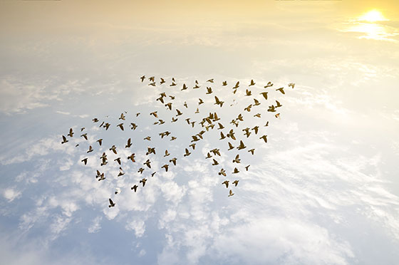 Ledelse skyen